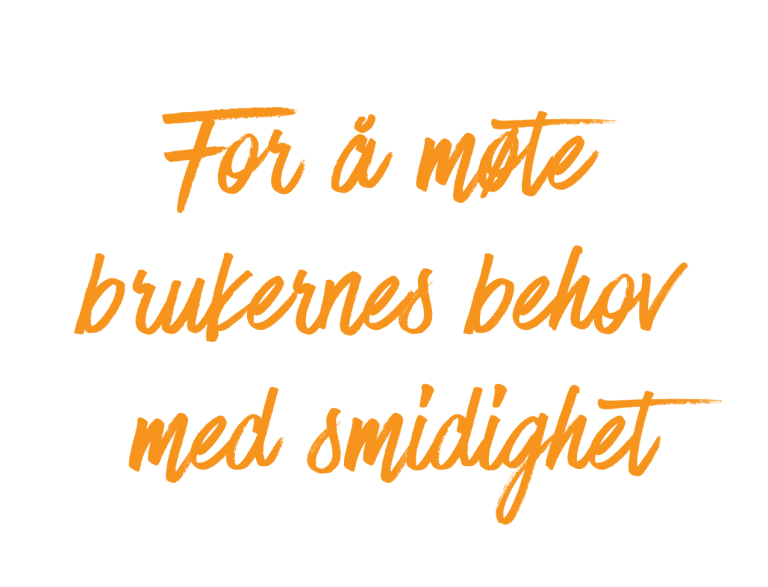 For-å-møte-brukernes-behov-med-smidighet