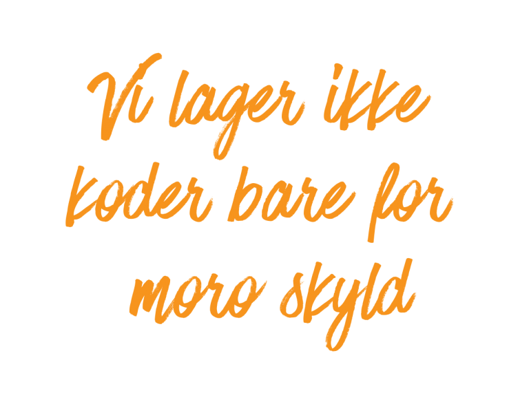 Vi-lager-ikke-koder-bare-for-moro-skyld