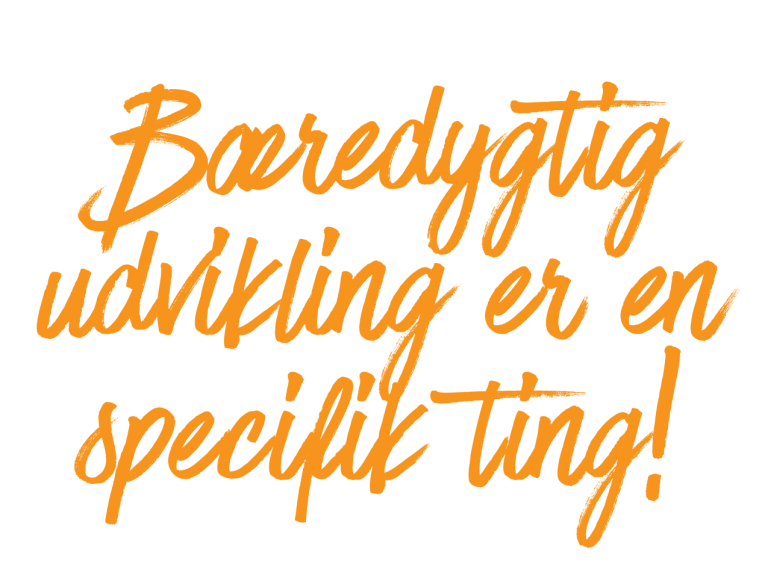 Bæredygtig-udvikling-er-en-specifik-ting