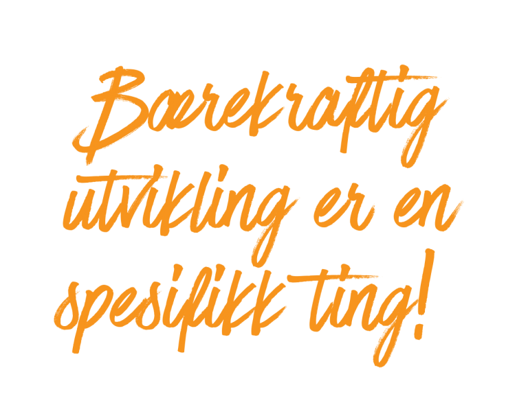 Bærekraftig-utvikling-er-en-spesifikk-ting