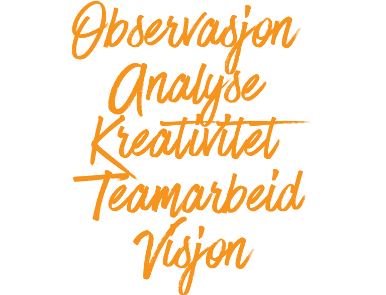 Observasjon-Analyse-Kreativitet-Teamarbeid-Visjon