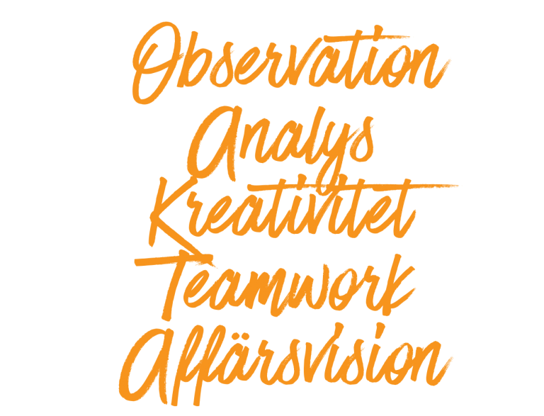 Observation-Analys-Kreativiteit