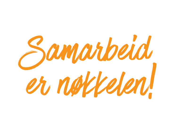Samarbeid-er-nøkkelen