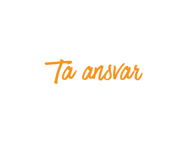 Ta-ansvar