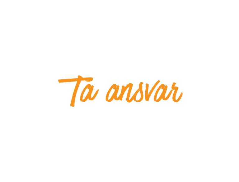 Ta-ansvar