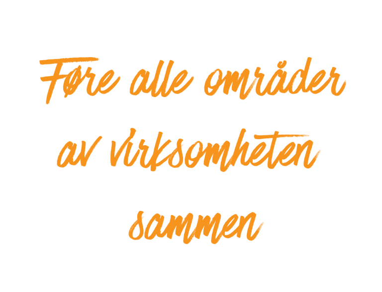 Føre-alle-områder-av-virksomheten-sammen
